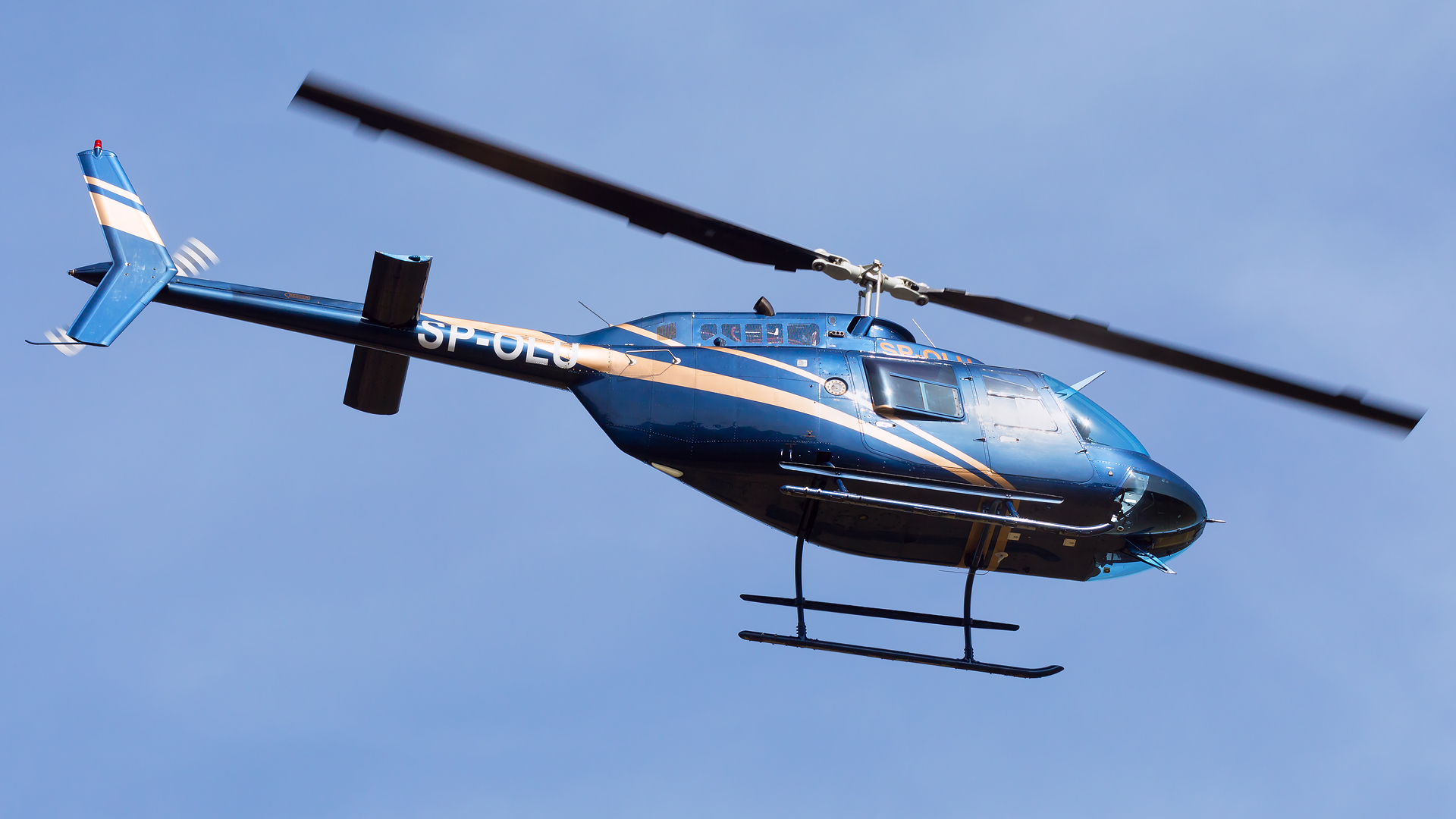 Bell 206L