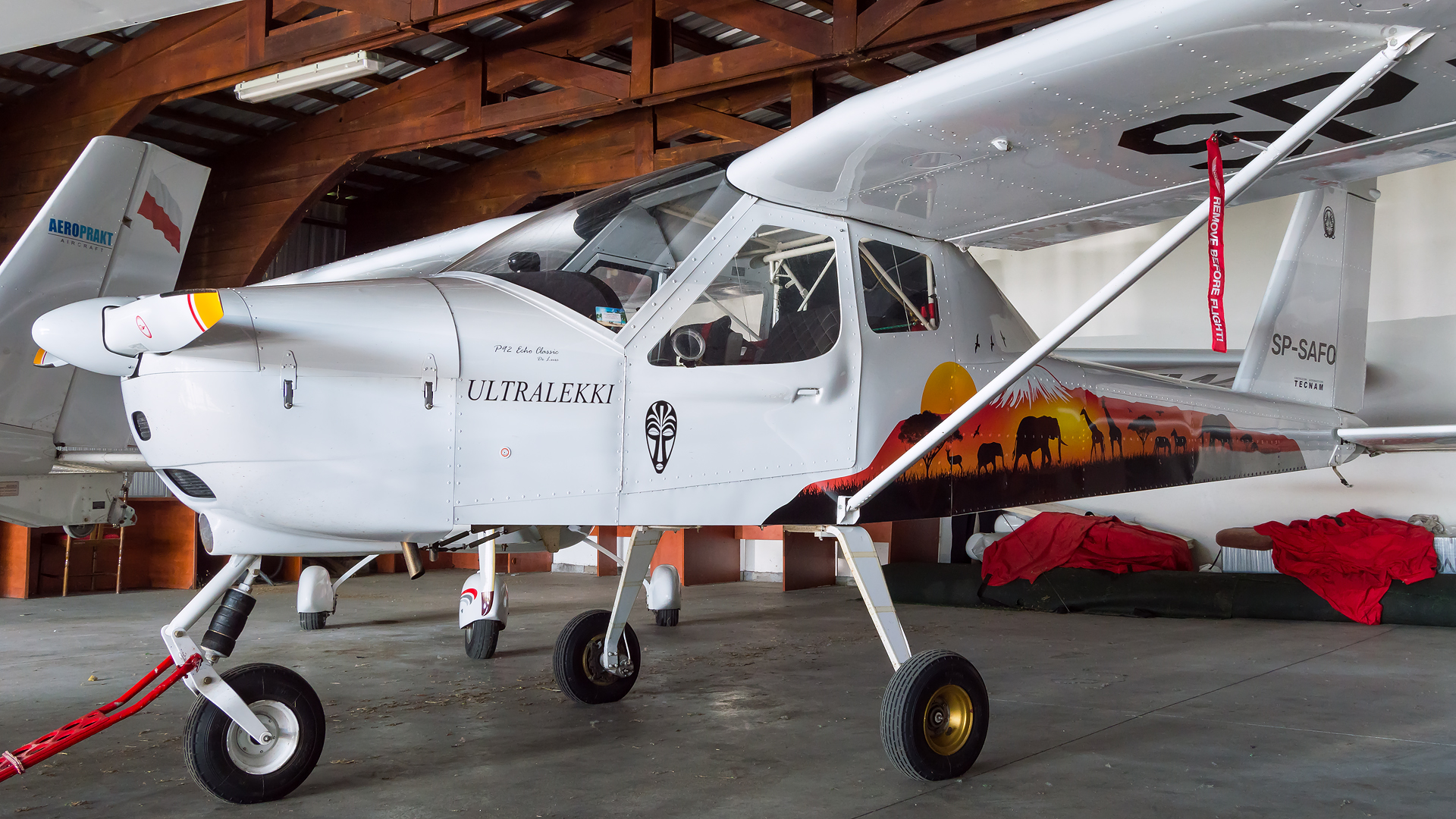 Tecnam P92