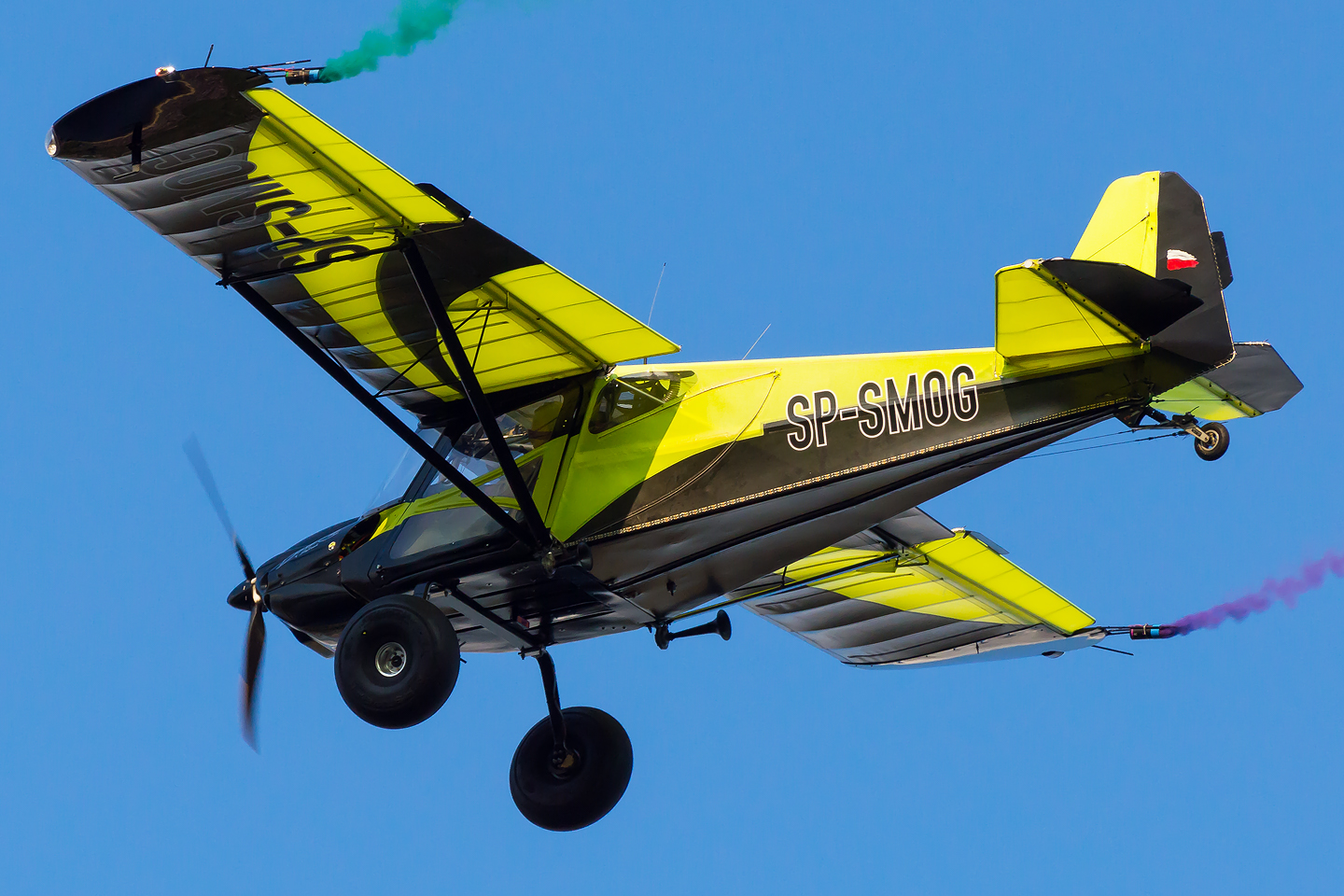 RAINBOW SKYREACH BushCat