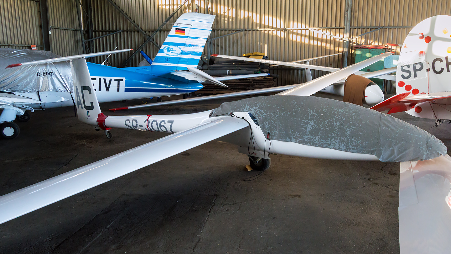 SZD-41 Jantar Std.