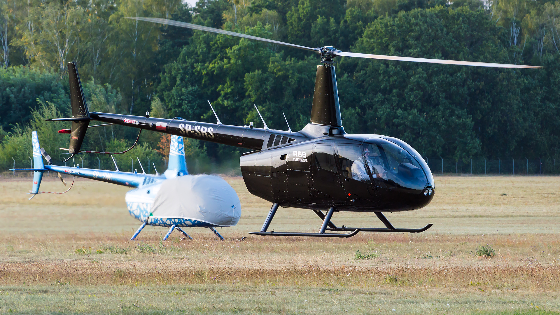 Robinson R66