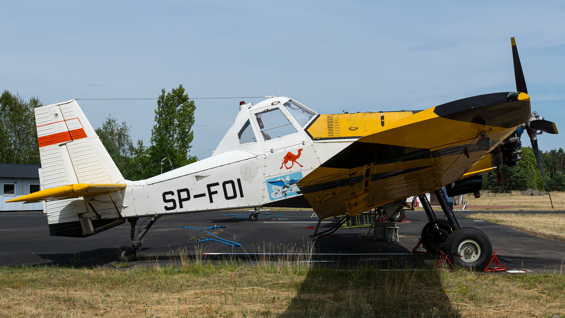 PZL M-18