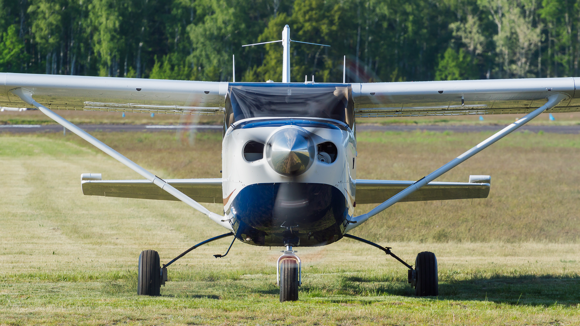 Cessna 206
