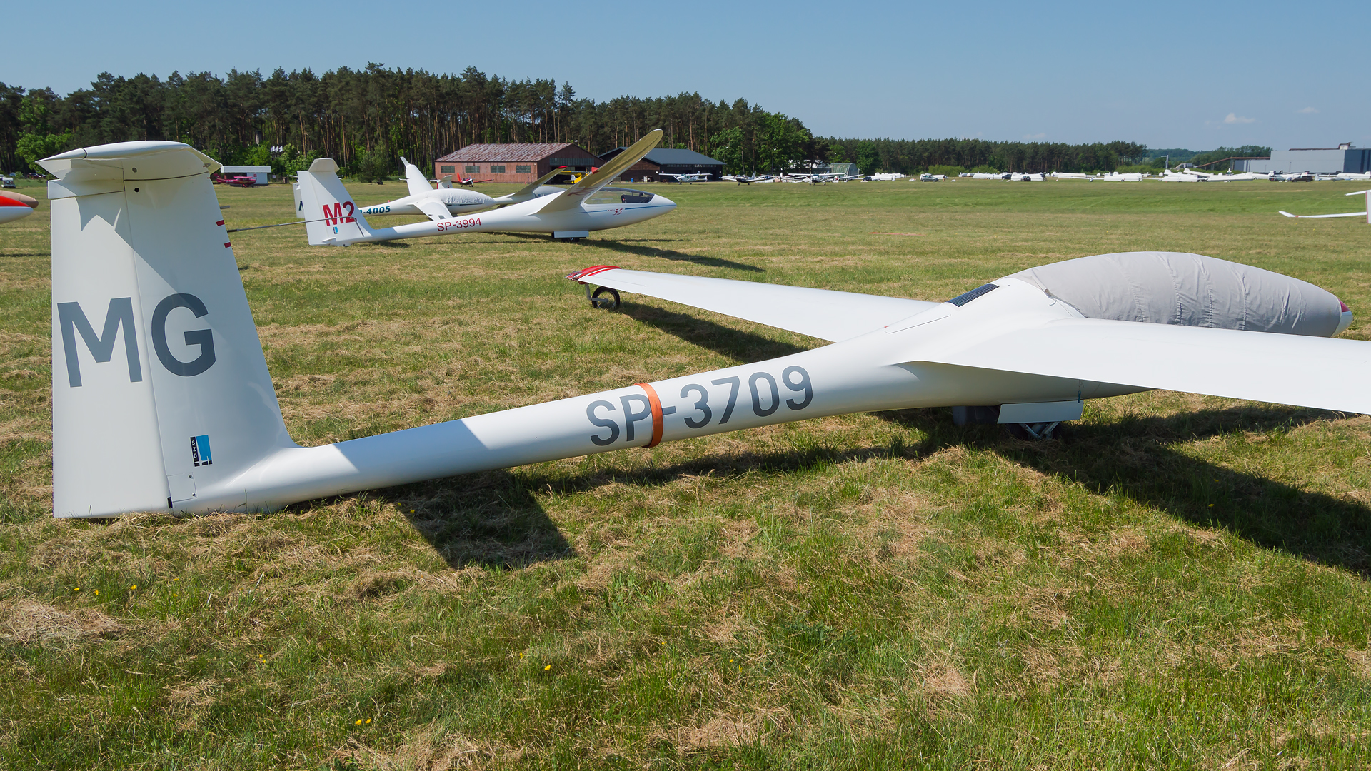 SZD-41 Jantar Std.