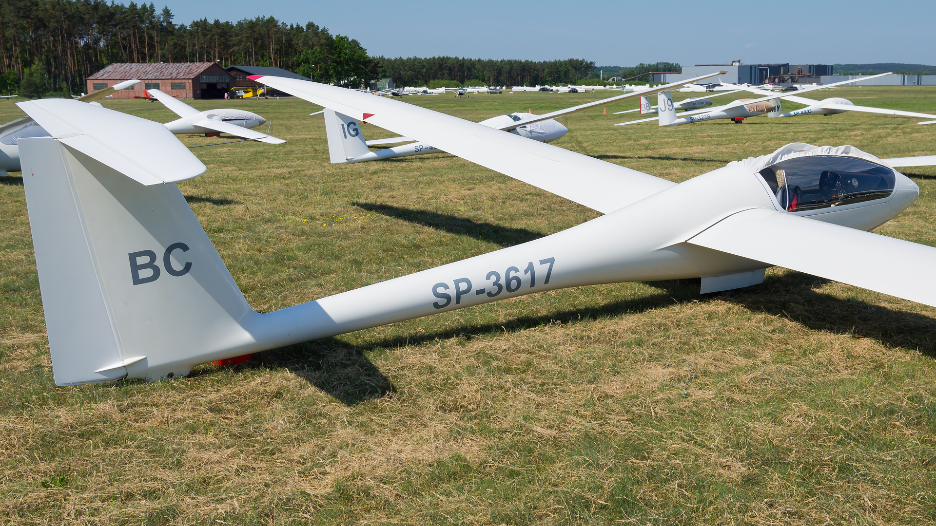 SZD-55-1