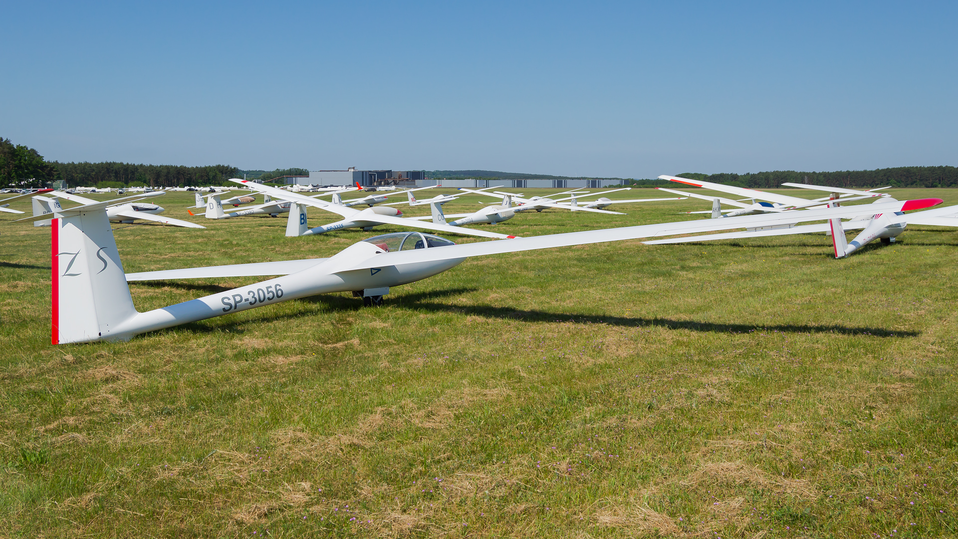 SZD-41 Jantar Std.