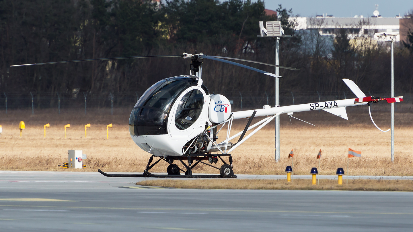 Schweizer 300
