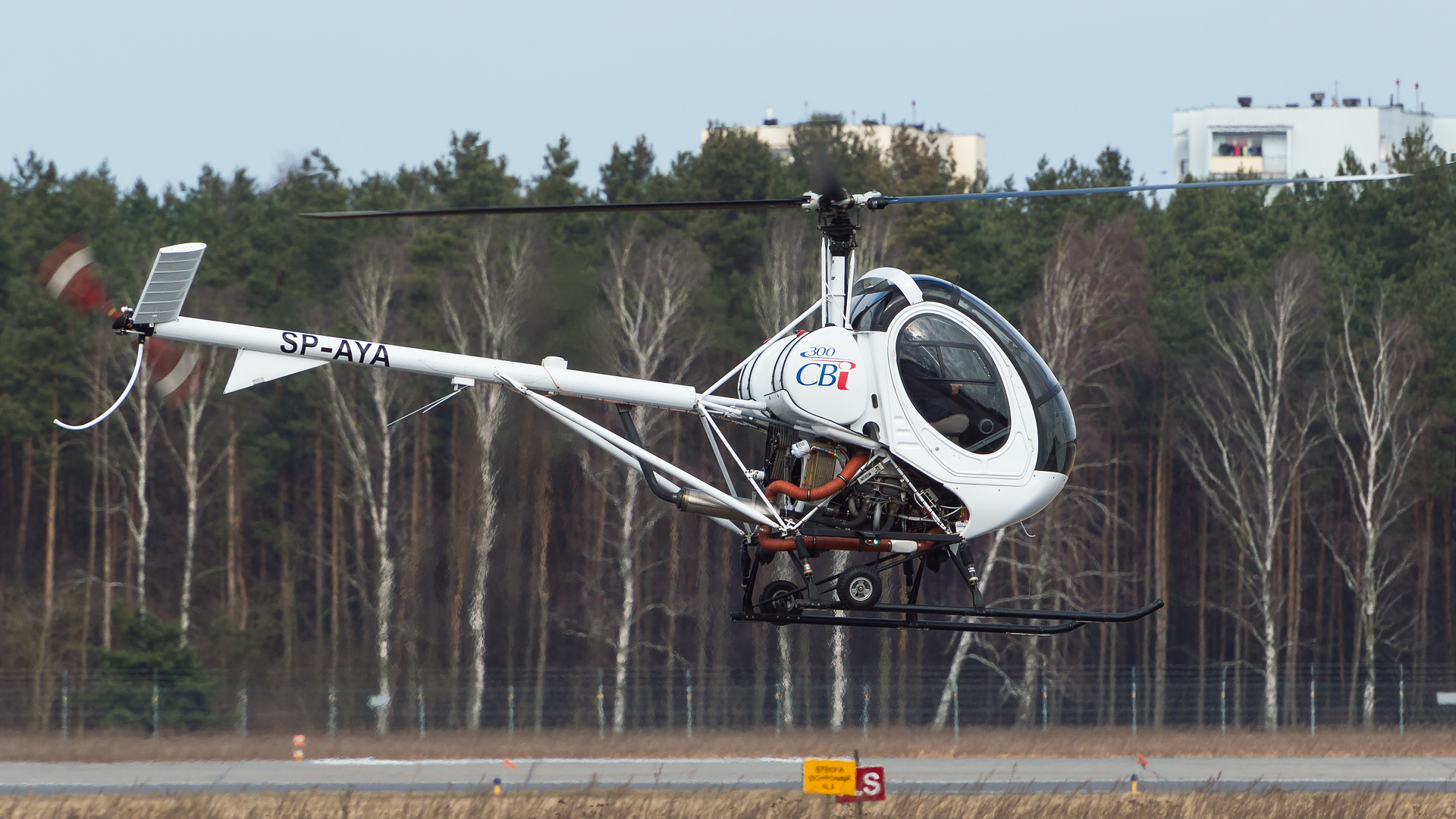 Schweizer 300