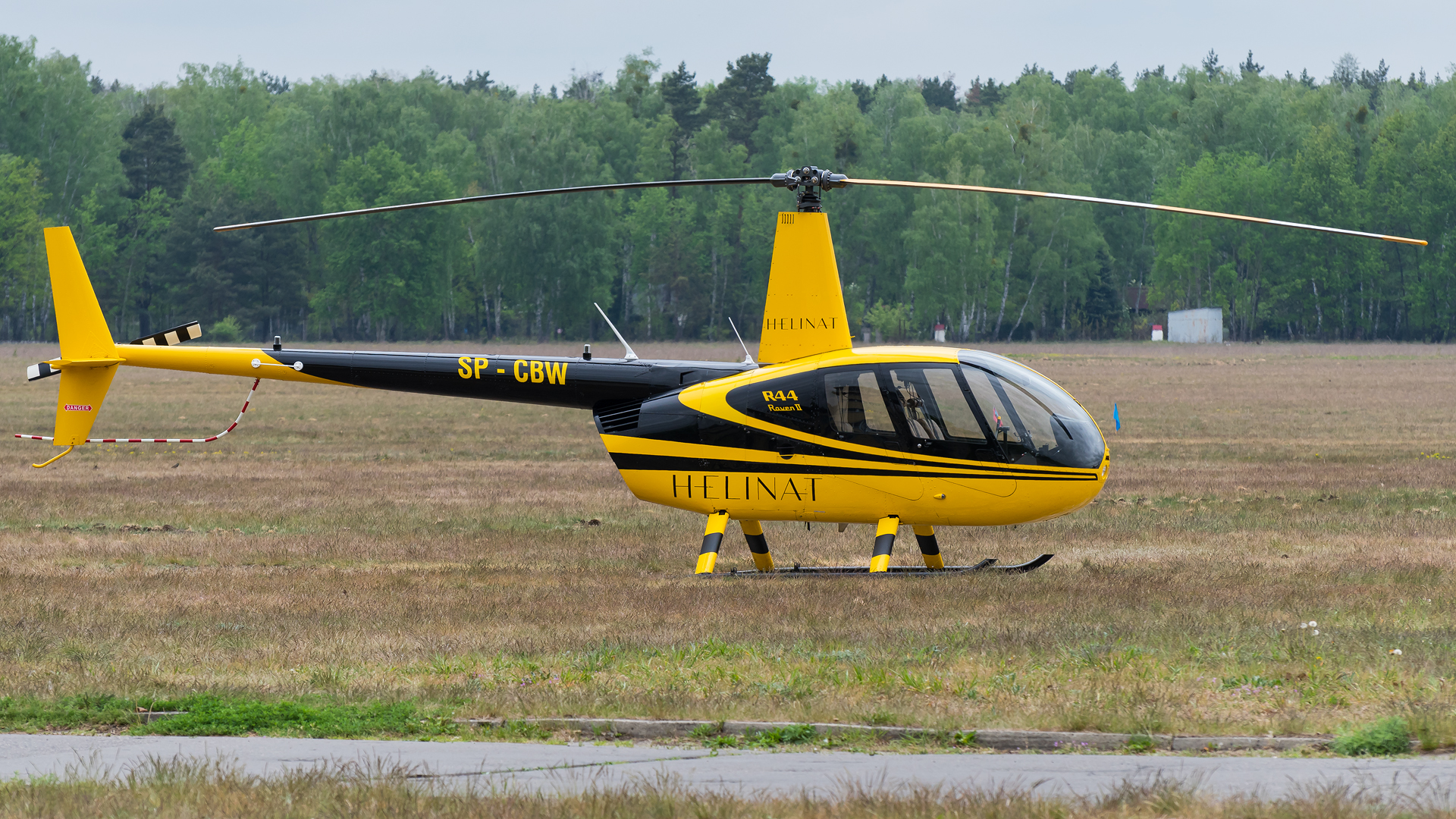 Robinson R44